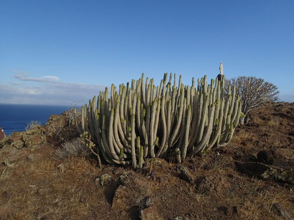 Jezusbeeld op 200m boven de haven kijkt naar het oosten