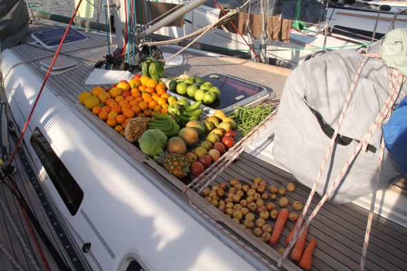 de voorraad vers fruit en groente na het wassen