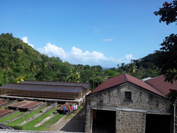 Belmont Estate waar cacaobonen worden verbouwd, gedroogd en geleverd aan de Organic Chocolate Factory