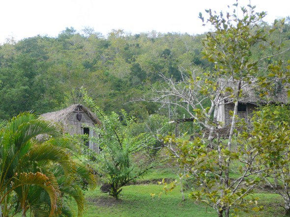 slavensavannah (museaal   park over het leven van de slaven en hun gebruik van kruiden en bomen om te bouwen en als medicijnen