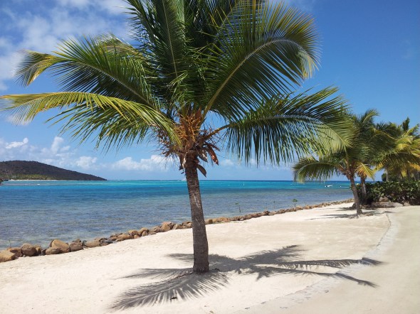 strand van The Bitter End Yachtclub