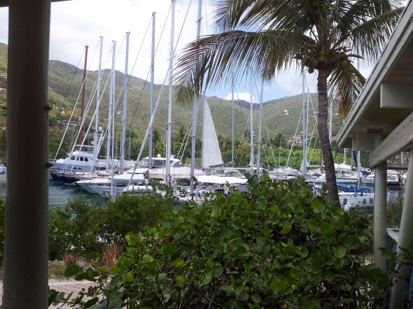 marina van Nanny Cay met mangrove op de achtergrond