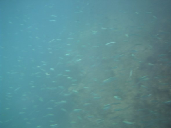 even uitproberen nog