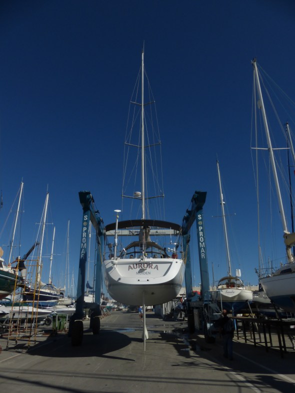 Aurora op weg naar het water....