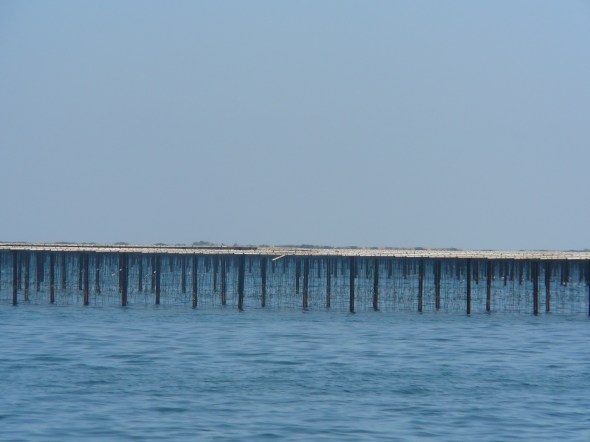 mosselkwekerijen bij de ingang van het kanaal naar Port Napoleon