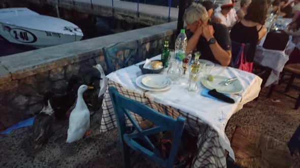 bij Margarita aan tafel, de eenden willen mee-eten!