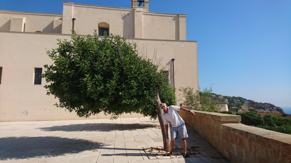 het waait hier nooit, toch staat alles scheef